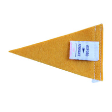 Load image into Gallery viewer, Pennant Yay You Old Gold Mini Felt Pennant