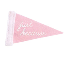 Load image into Gallery viewer, Pennant Just Because Pink Mini Felt Pennant Banner
